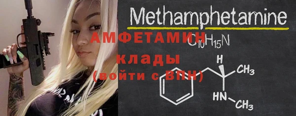 амф Верхний Тагил