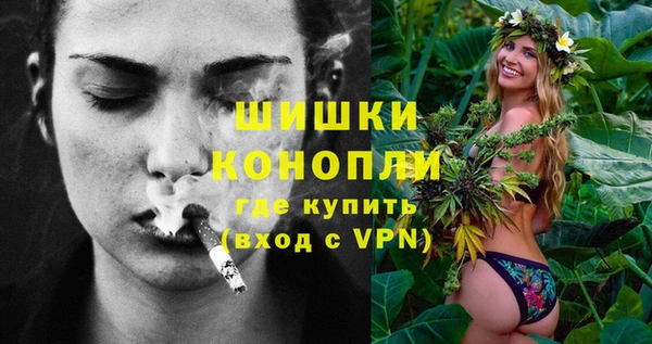 амф Верхний Тагил
