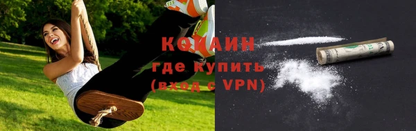 амф Верхний Тагил
