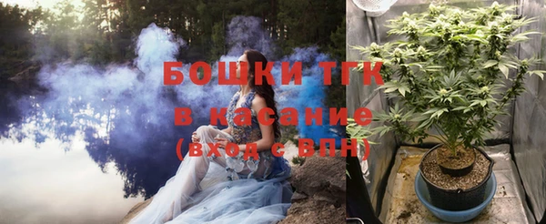 амф Верхний Тагил