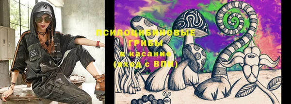 индика Верхнеуральск