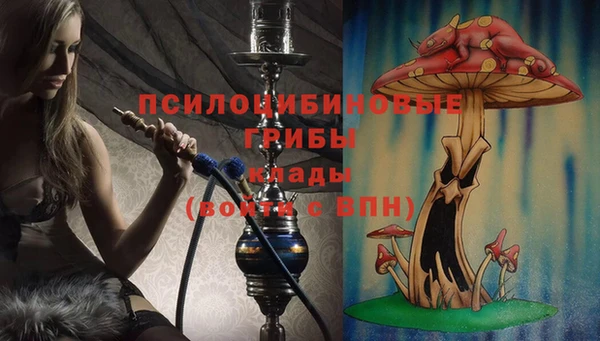 амф Верхний Тагил