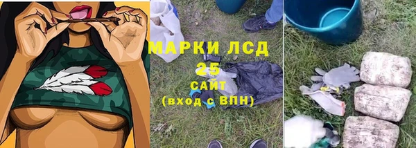 амф Верхний Тагил