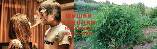 индика Верхнеуральск