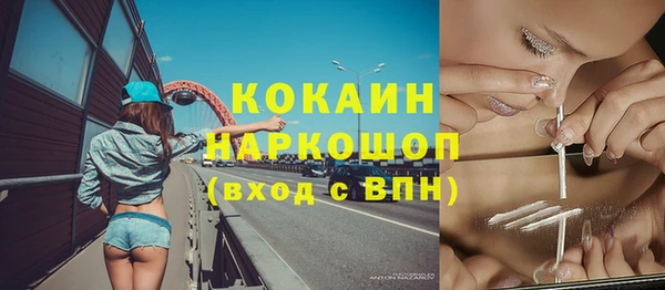 амф Верхний Тагил