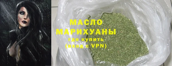 амф Верхний Тагил