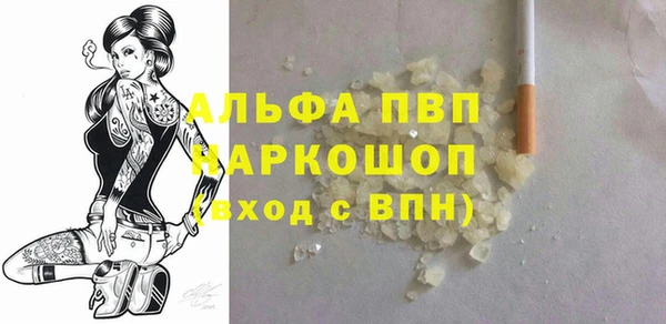 амф Верхний Тагил